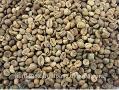 Washed Robusta Coffee Beans