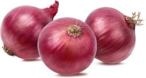 Fresh Big Onion