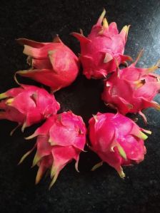 Fresh Dragon Fruit