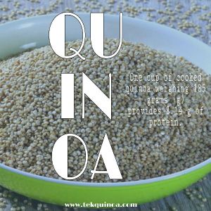 Tek Quinoa Seeds Gluten Free Quinoa (12kg)