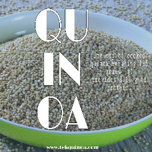 Tek Quinoa Seeds Gluten Free Quinoa (25kg)