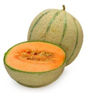 Fresh Muskmelon