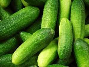 Fresh Gherkins