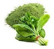 Spinach Powder