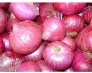 Fresh Pink Onion