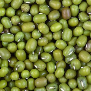 green gram pulses