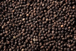 Black Pepper Seeds