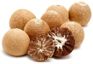 Raw Areca Nuts