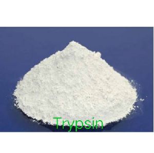 Trypsin Enzyme Powder