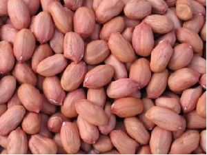 Red Groundnut