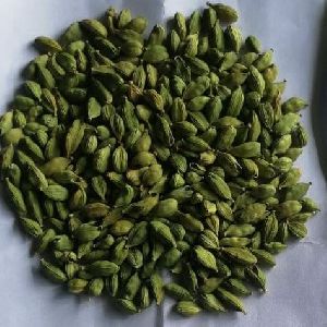 Mini Green Cardamom