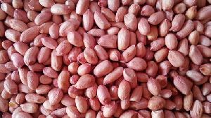 Peanut Kernels