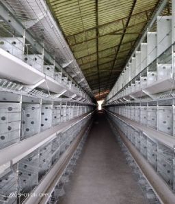 Parent Broiler Breeder Layer Cages