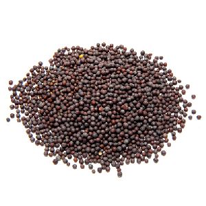 Whole Mustard Seeds