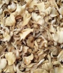 Dried Oyster Mushroom