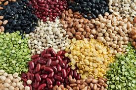 Legumes