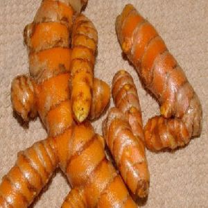 Fresh Turmeric