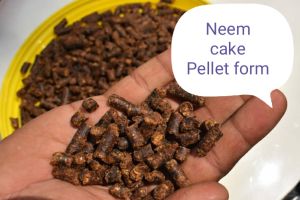 neem cake pellets