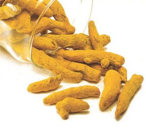 Polished Turmeric Finger