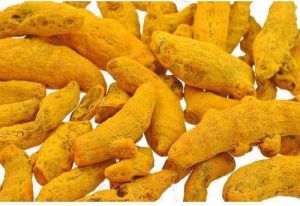 Turmeric Finger