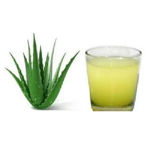 Herbal Aloe Vera Juice