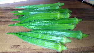 Hybrid Okra Seeds