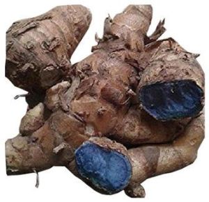 Black Turmeric