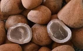 Dry Coconuts