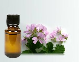 Geranium Oil