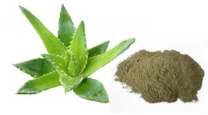 Aloe Vera Powder