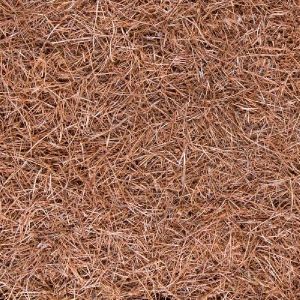 Pine Needles Mulch