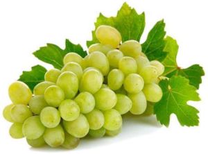 Fresh Grapes