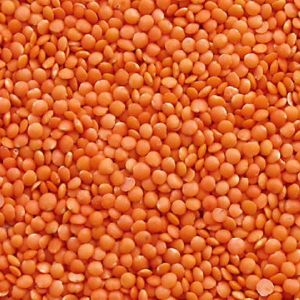 Masoor Dal