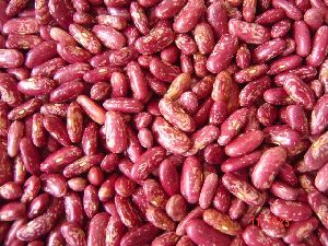 Speckled Kidney Beans