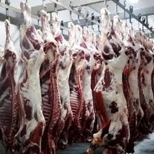 HALAL PORT MEAT