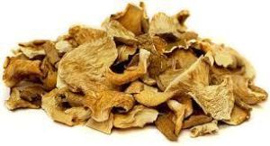 Organic Dry Oyster Mushroom