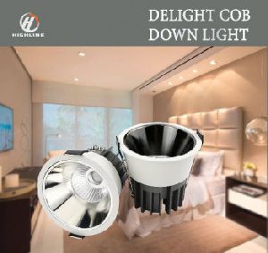 Delight COB Down Light