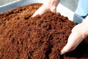 Organic Vermicompost Fertilizer