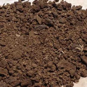 Pure Vermicompost Fertilizer