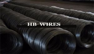 HB Wire