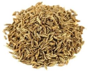 Cumin Seeds