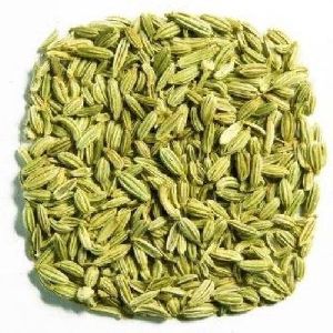 Fennel Seeds