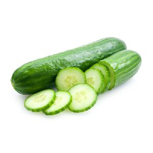 Fresh Cucumber