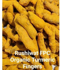 Organic Turmeric Finger