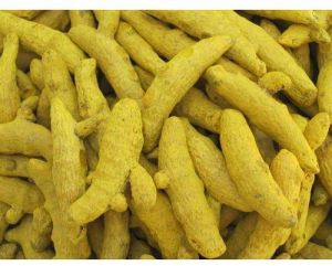 Salem Turmeric Finger