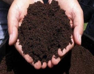 Vermicompost Fertilizer