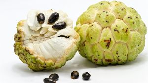 Custard Apple