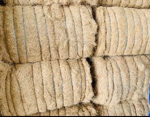 Coir Fibre