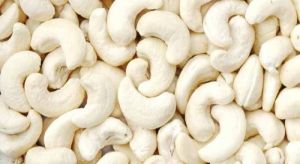 cashew nuts