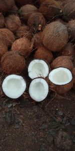 Brown Coconut